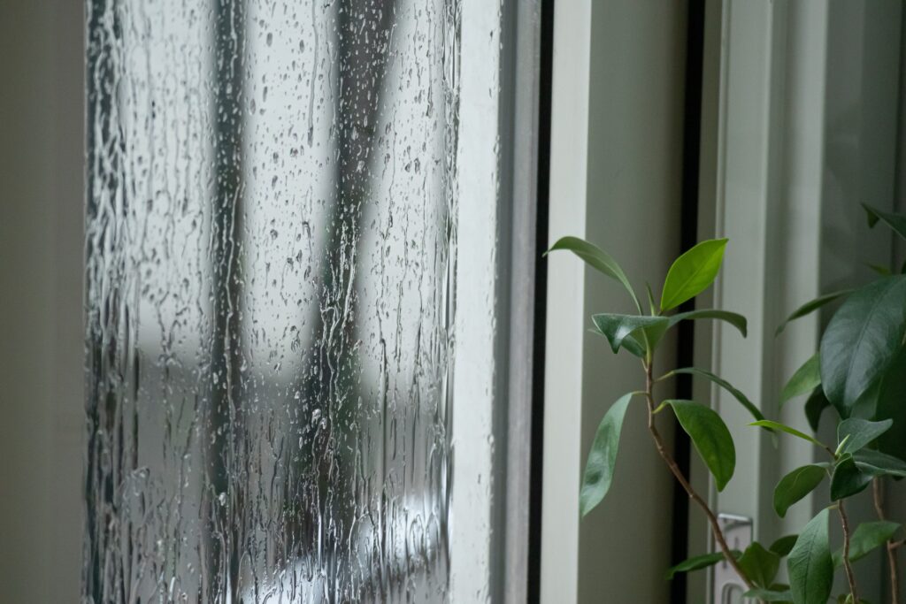 梅雨時期の雨