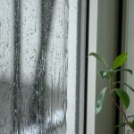 梅雨時期の雨
